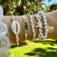 Shell Symphony