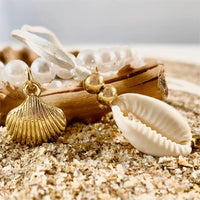 Shell Symphony