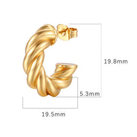 Creative twist woven earring